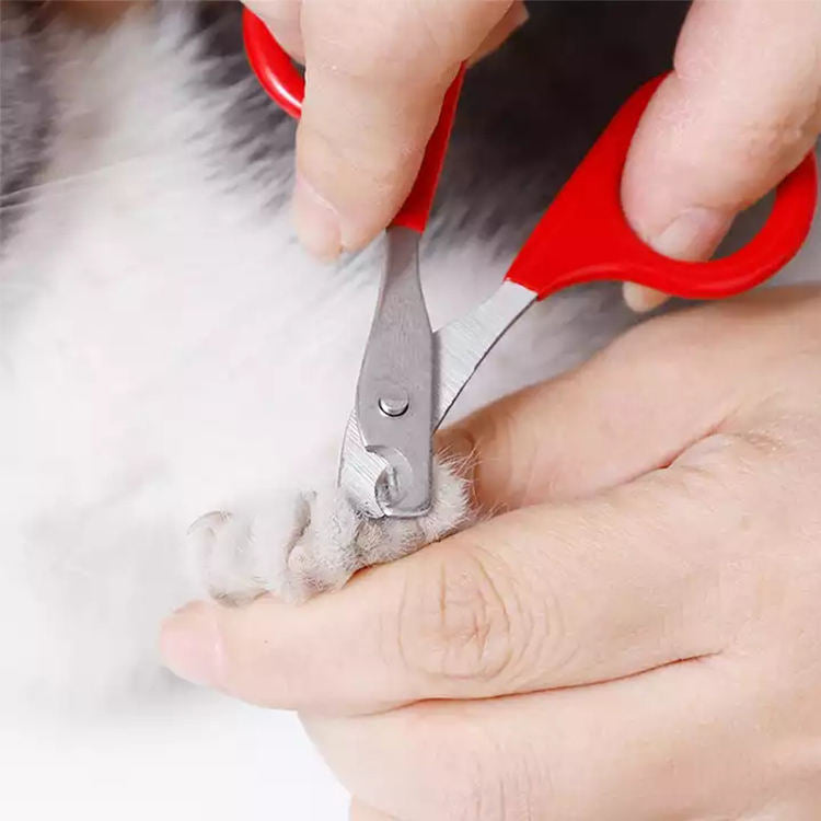 Pet Nail Clippers