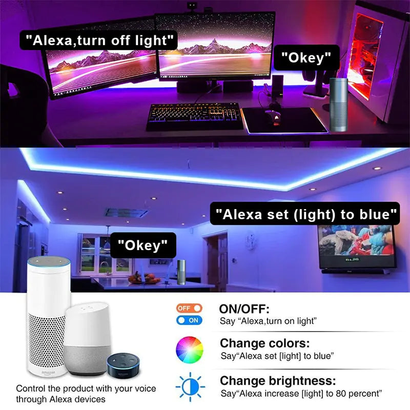 LED Wi-Fi Voice Control Smart Room Lights