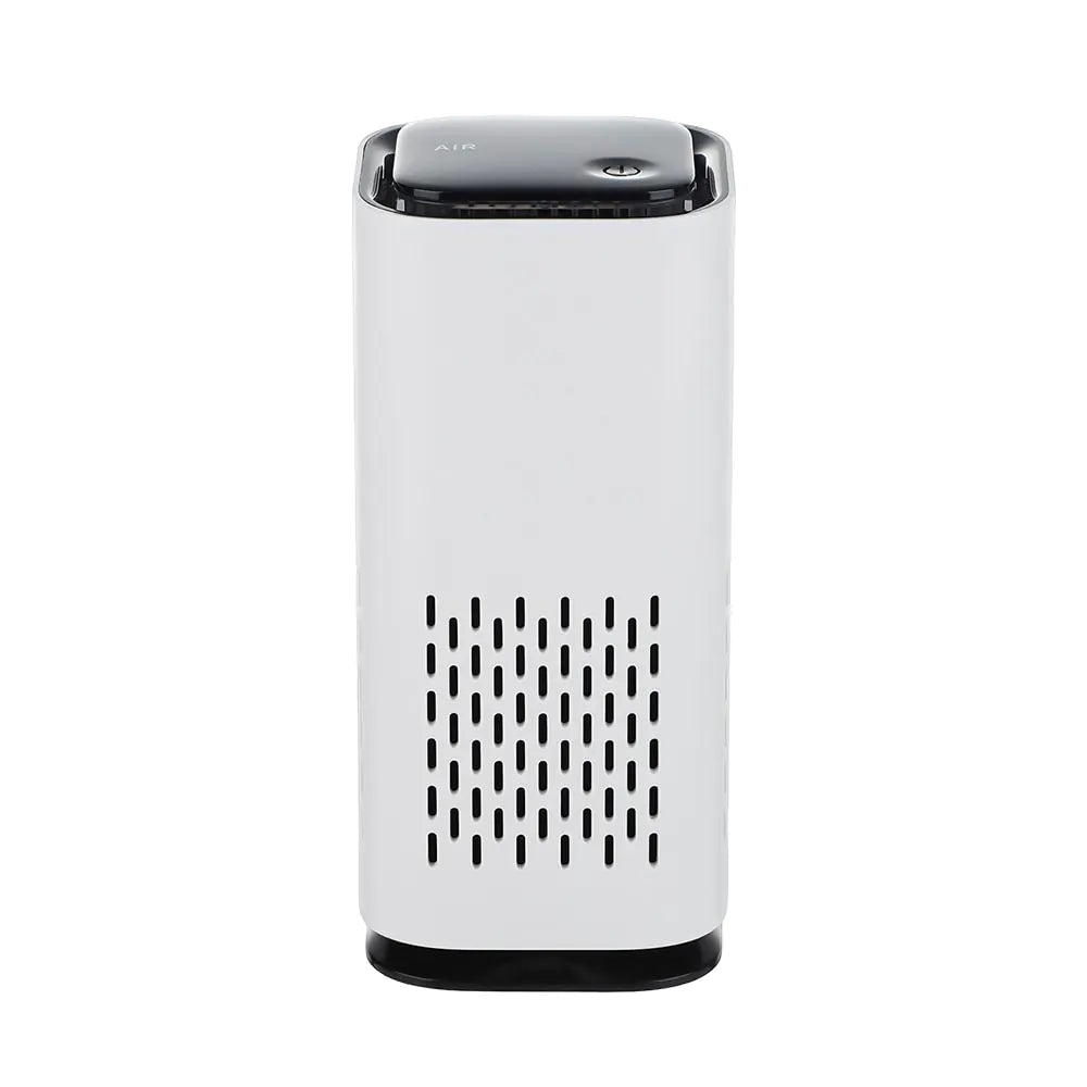 Portable Air Purifier