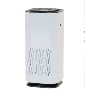 Portable Air Purifier