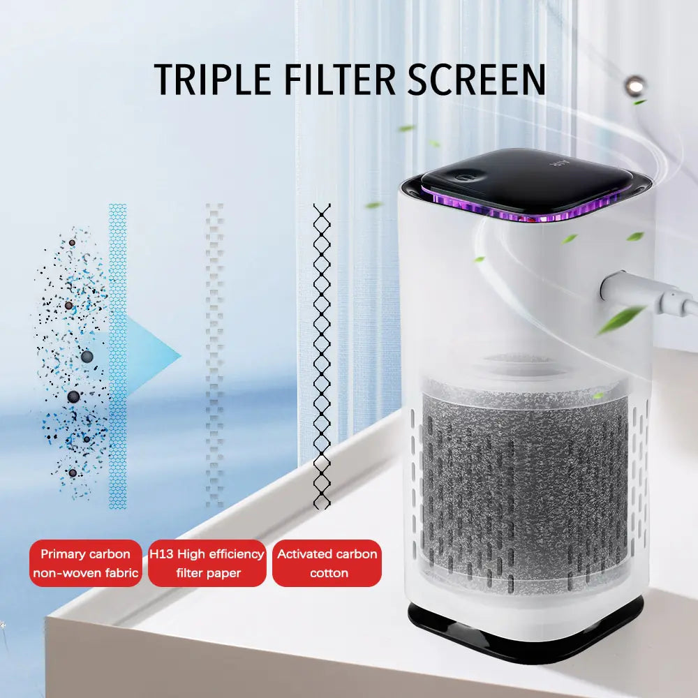 Portable Air Purifier